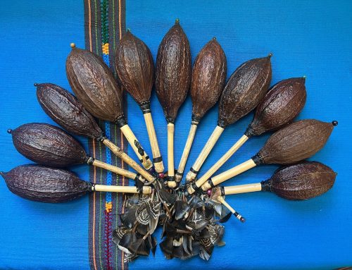 Jetzt neu: Einzigartige Rasseln aus echten Kakao-Früchten!!!