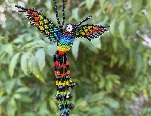 Jetzt online: Kolibris in 12 neuen Farben!!!