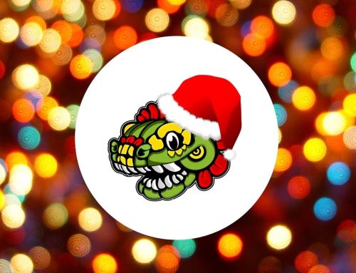 Weihnachts-Special: 10% Rabatt oder Gratisversand, du suchst aus!